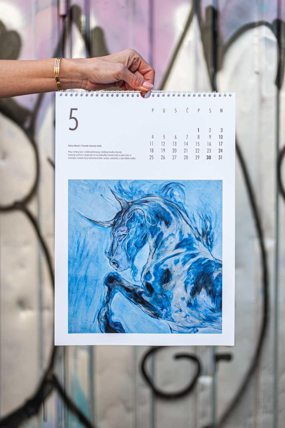 Helena Nemeš / Trenutak rađanja mašte