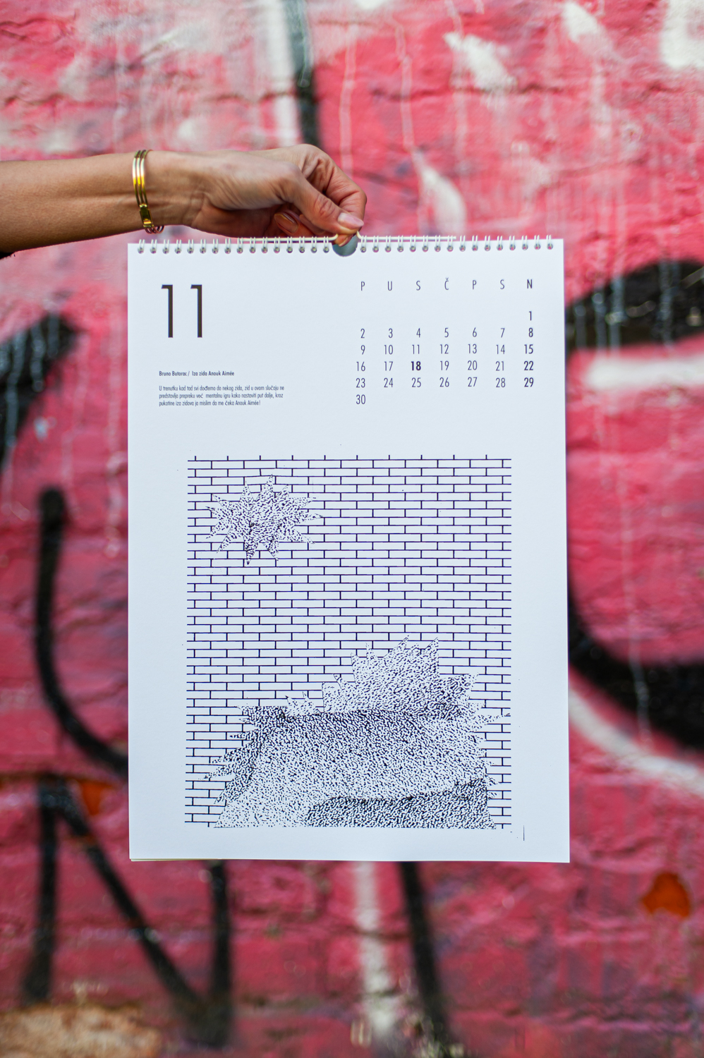 Bruno Butorac / Iza zida Anouk Aimée