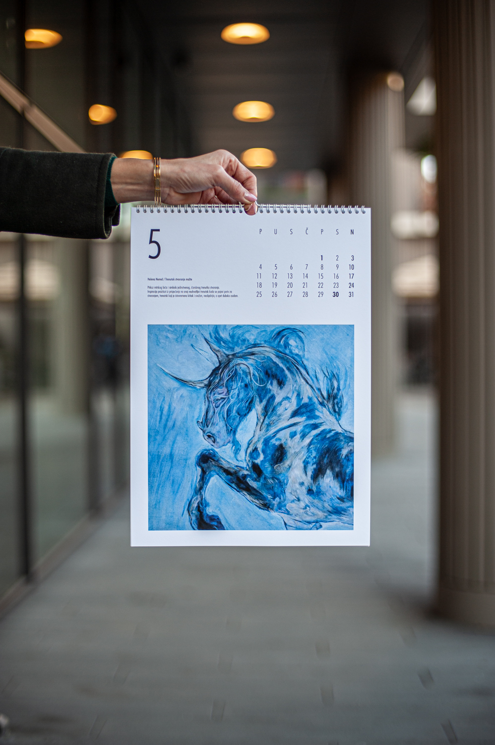 Helena Nemeš / Trenutak rađanja mašte